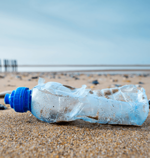BOTTLE OF PLASTIC ON THE BEACH